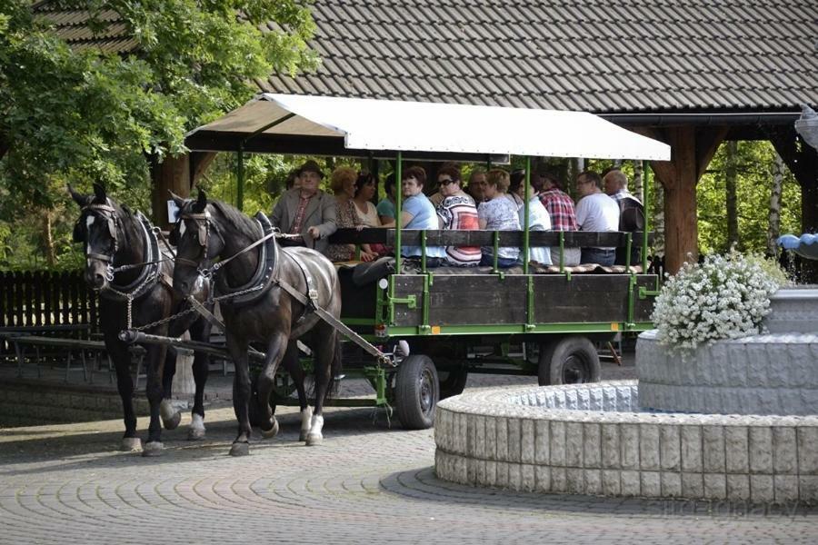 Hotel Park Lesny 'U Kaczyny' Rogow Exteriér fotografie